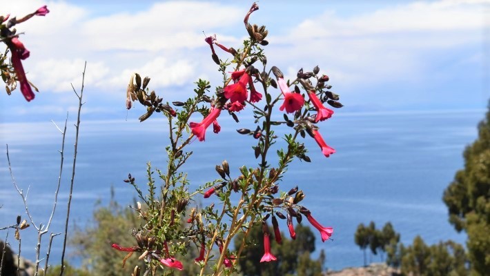 Isla de Taquile